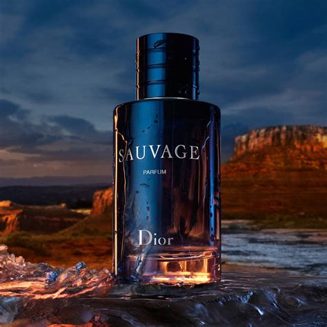 dior sauvage ambiance spray|Dior Sauvage 100ml cheapest.